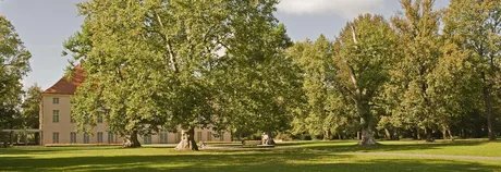 Veranstaltungen in Berlin: Baumpflege und Klimawandel im Schlossgarten Schönhausen