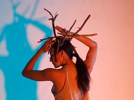 To Critter To Critter