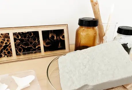 Cellulose: Von Nano bis Makro