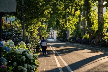Grüner Weg