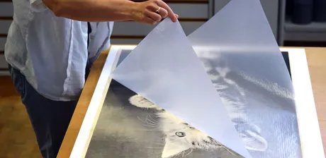 Ausstellungsvorbereitung „Yes to all“