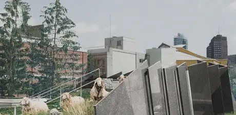 Carl Wolff, Das Kulturforum als Landschaft