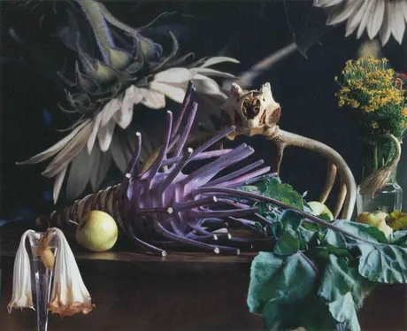 Vera Mercer "Life in Focus" / Stillleben