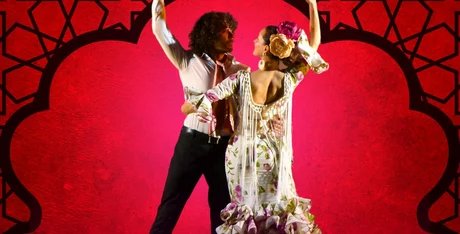 Flamenco ‒ Rosas Negras