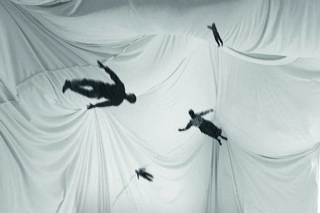 Nachtfalter Nachtfalter