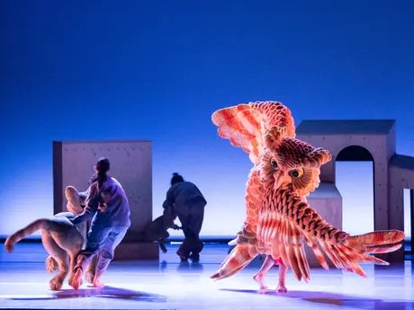 The Cat Who Wanted to Change Her Tale