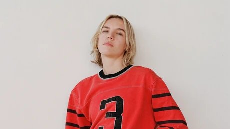 THE JAPANESE HOUSE