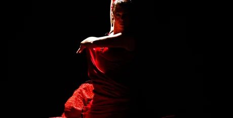 Flamenco Vivo