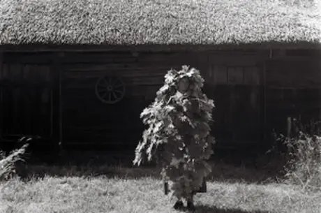 Steine, die atmen, Wind, der singt Steine, die atmen, Wind, der singt