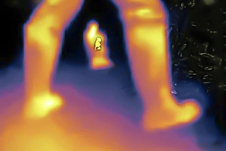 A snake is looking at us, 2024