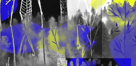 Mateja Dragicevic, aus der Serie: Wesen, Digitaldruck, 2022