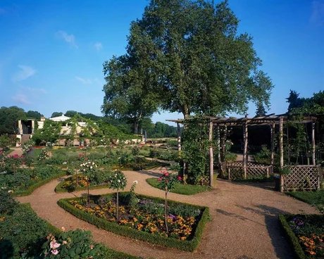 Park Sanssouci, Schloss Charlottenhof, Blick in Rosengarten mit Schinkel-Laube
