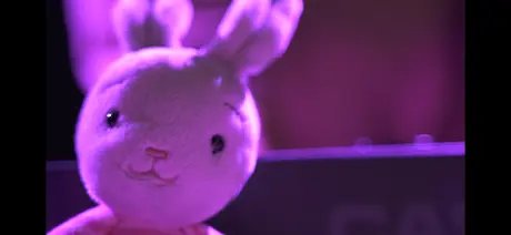 Lucy und der Angsthase