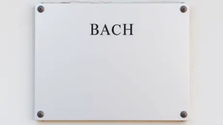 Tafel mit dem Namen Bach