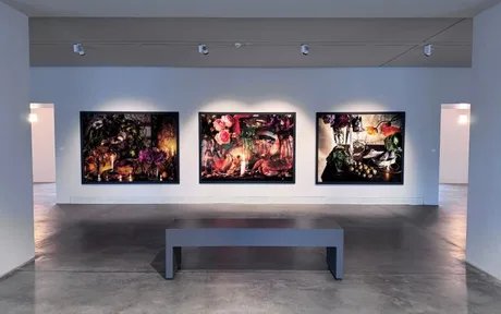 Vera Mercer "Life in Focus" / Werkschau