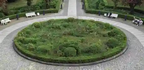 Veranstaltungen in Berlin: Samenbomben bauen