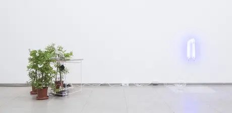 Ally Bisshop, Silence Goes Quickly When Played Backwards, Festival of Future Nows 2017 → ∞, Hamburger Bahnhof – Nationalgalerie der Gegenwart, Berlin 2017