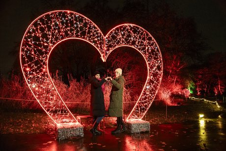 Impressionen von Christmas Garden 2025