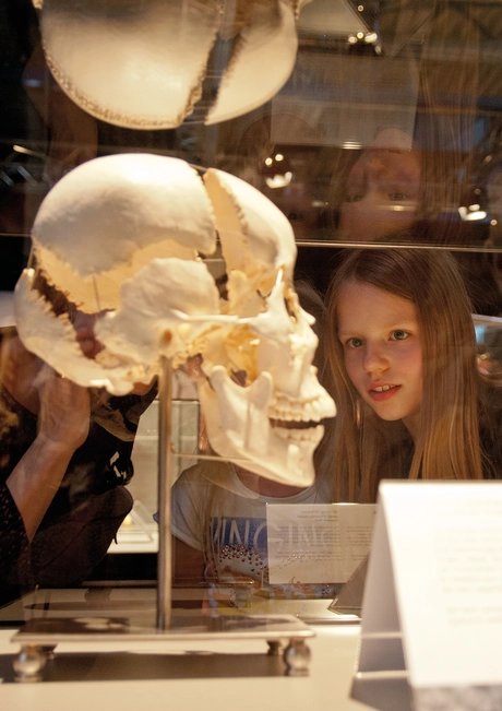 Veranstaltungen in Berlin: KÖRPERWELTEN Museum Berlin