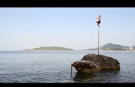VISUAL FOOD & FOOTAGE: In the Sun Life