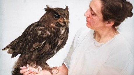 Veranstaltungen in Berlin: Die Vogel-WG.