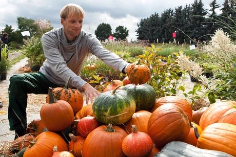 Traditionsfest mit Herbstblütenpracht, Live-Musik und Kinderprogramm