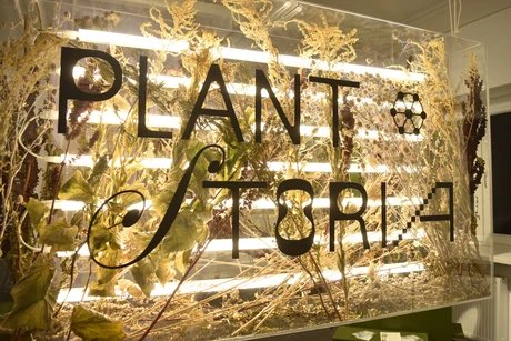 Plantstoria