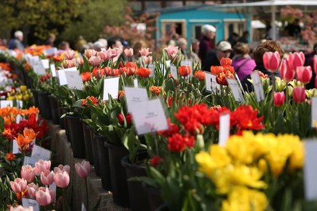 Gartenmarkt "Späth'er Frühling"