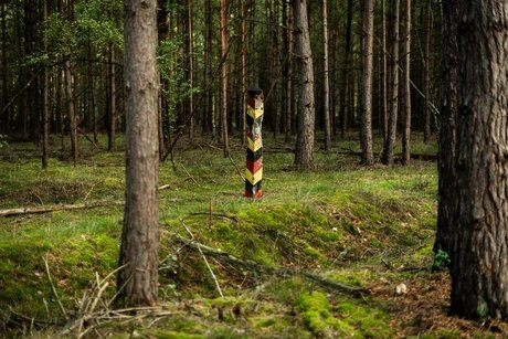 Veranstaltungen in Berlin: Das Grüne Band: Erinnerungslandschaft zwischen Geschichte und Natur
