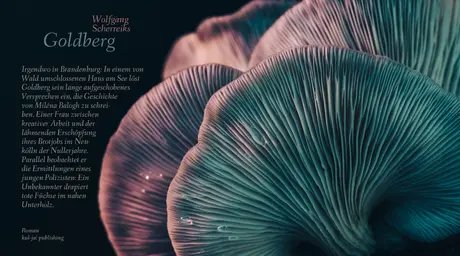 Veranstaltungen in Berlin: Romanpremiere: Wolfgang Scherreiks, „Goldberg“