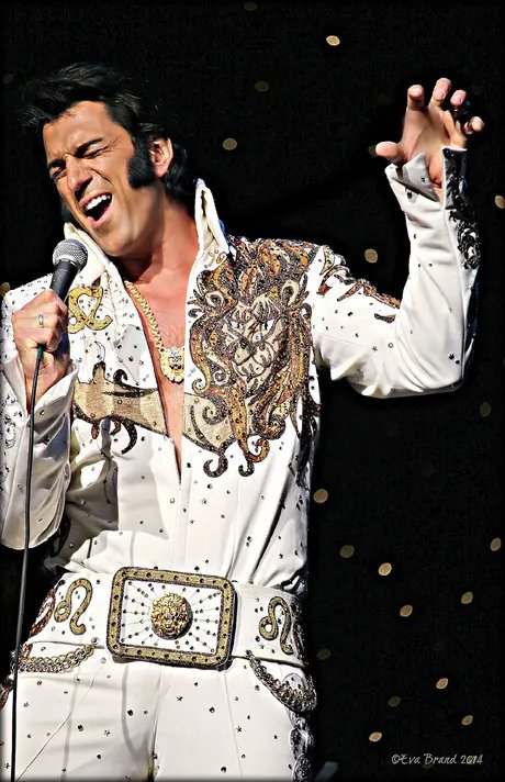 Elvis the Show - His Life In Music