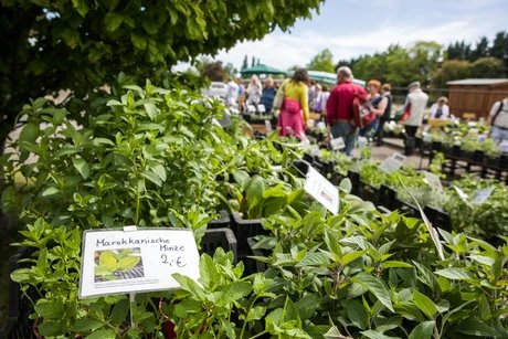 Gartenmarkt "Späth'er Frühling"