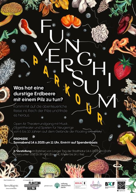 Funghiversum parkour, Flyer