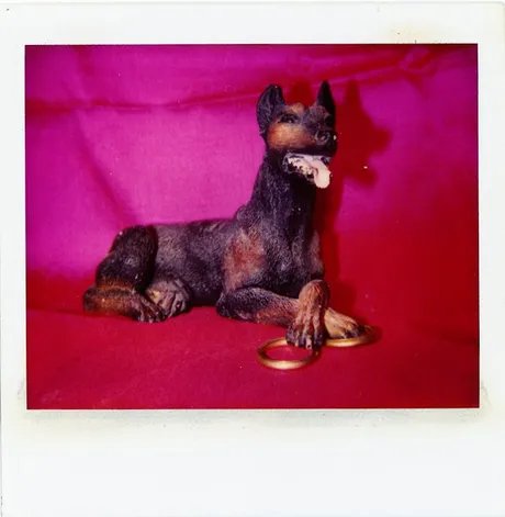 Rio_Bilder