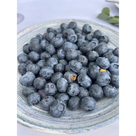 Heidelbeeren selbstpflücken