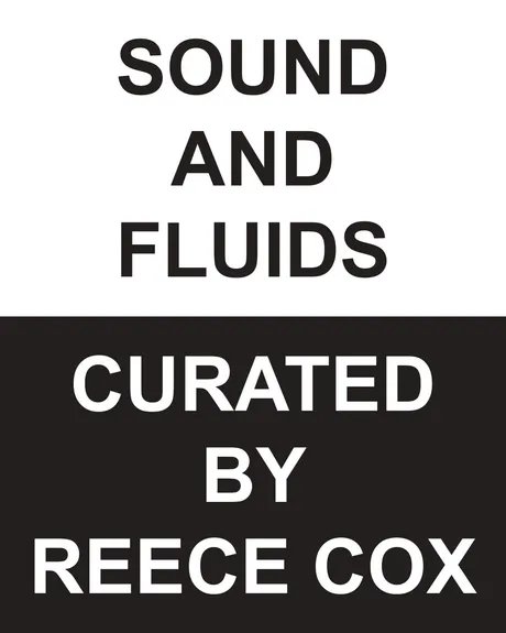 Sound and Fluids Sound and Fluids
