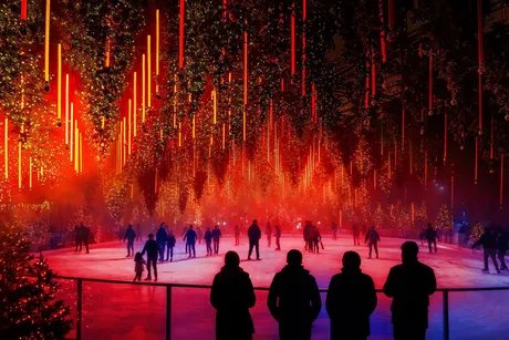 DARK-MATTER-Forest-Winterlights25