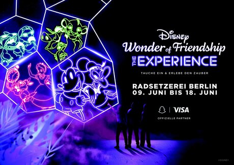 Disneys Wonder of Friendship: The Experience