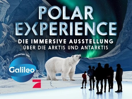Polar Experience Polar Experience