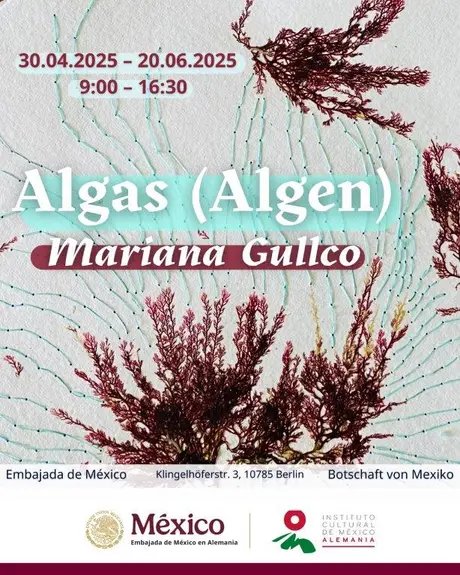Algas