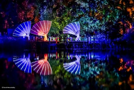 Britzer Gartennacht