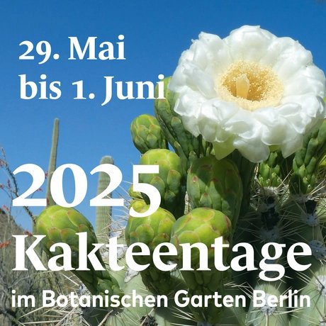 Kakteentage Berlin 2025