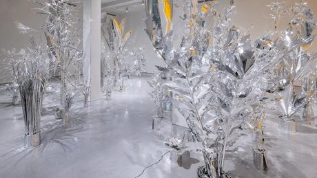 Toshihiko-Mitsuya_The-aluminium-garden_2022.jpg Toshihiko Mitsuya The aluminum garden -structural studies of plants- 2022 Aluminium foil 0.2mm (Mirror polished surface)