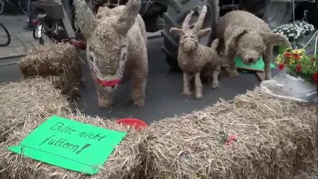 Primavera / Spargelfest