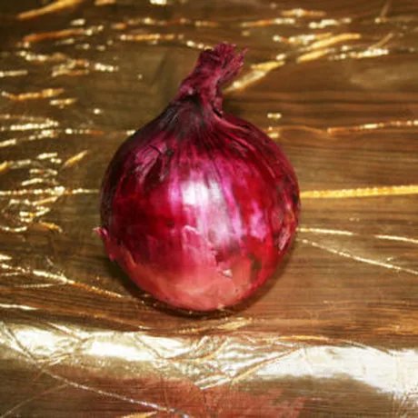 Die rote Zwiebel - Theater Lingulino