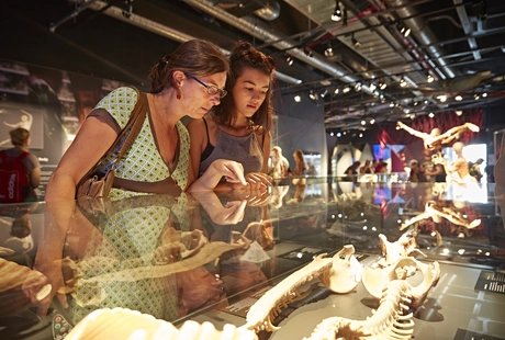 Veranstaltungen in Berlin: KÖRPERWELTEN Museum Berlin