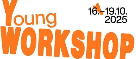 VISUAL YOUNG WORKSHOP