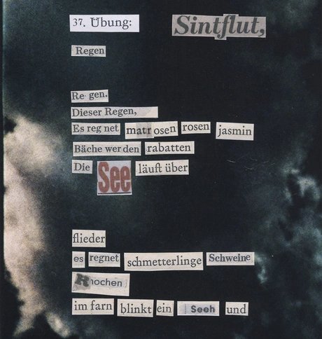 SINTFLUT