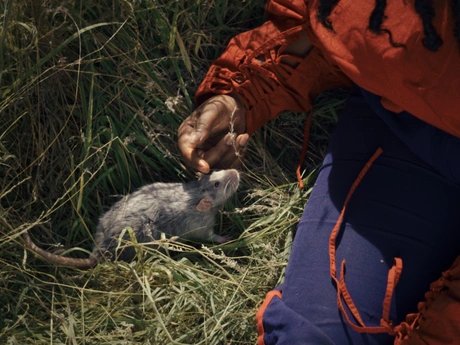 VISUAL Workshop: Queer Trash Ecologies - Feeling, Film, and Collective Imagination with Elisa Mohr