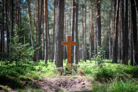 Veranstaltungen in Berlin: Das Grüne Band: Erinnerungslandschaft zwischen Geschichte und Natur
